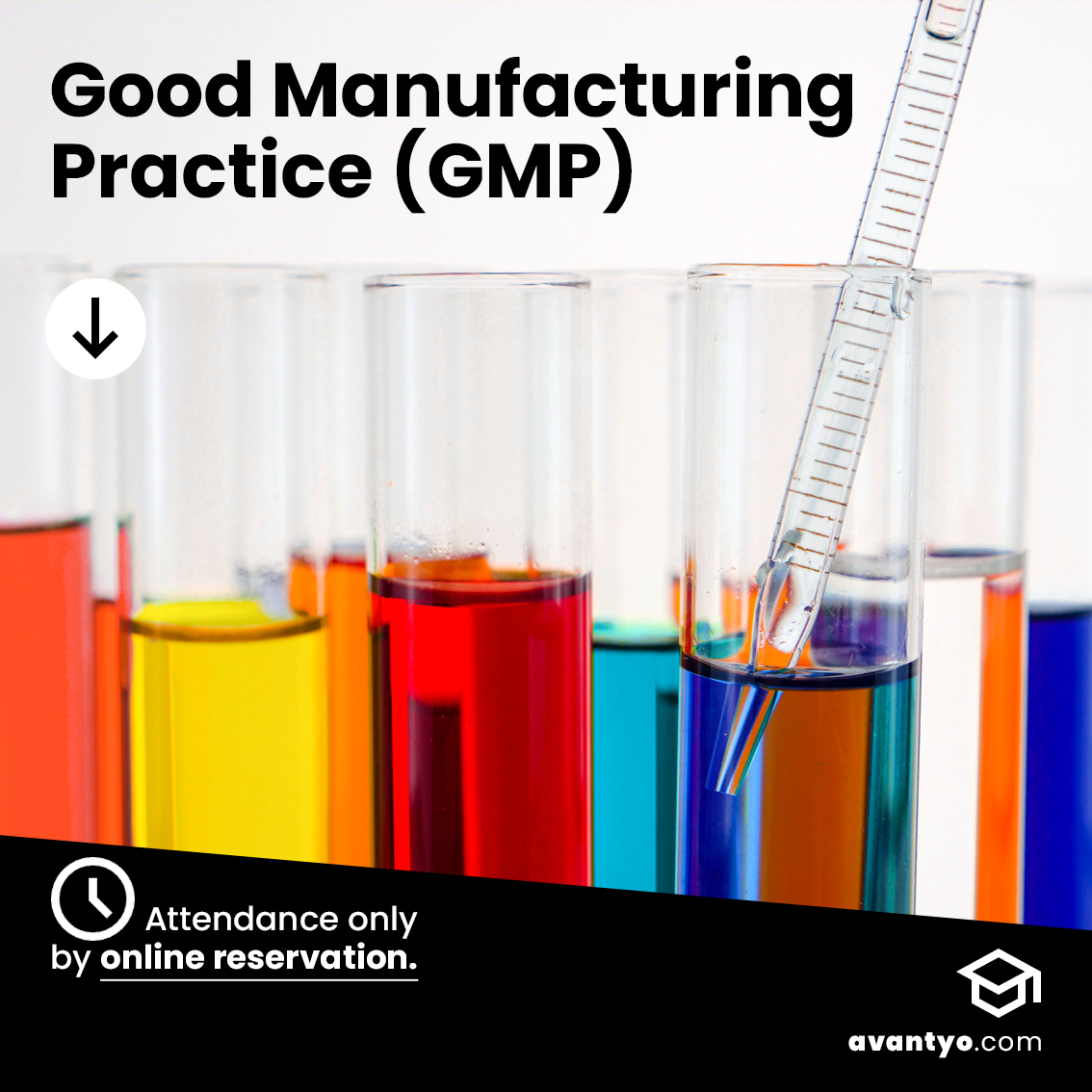 Good Manufacturing Practice (GMP)